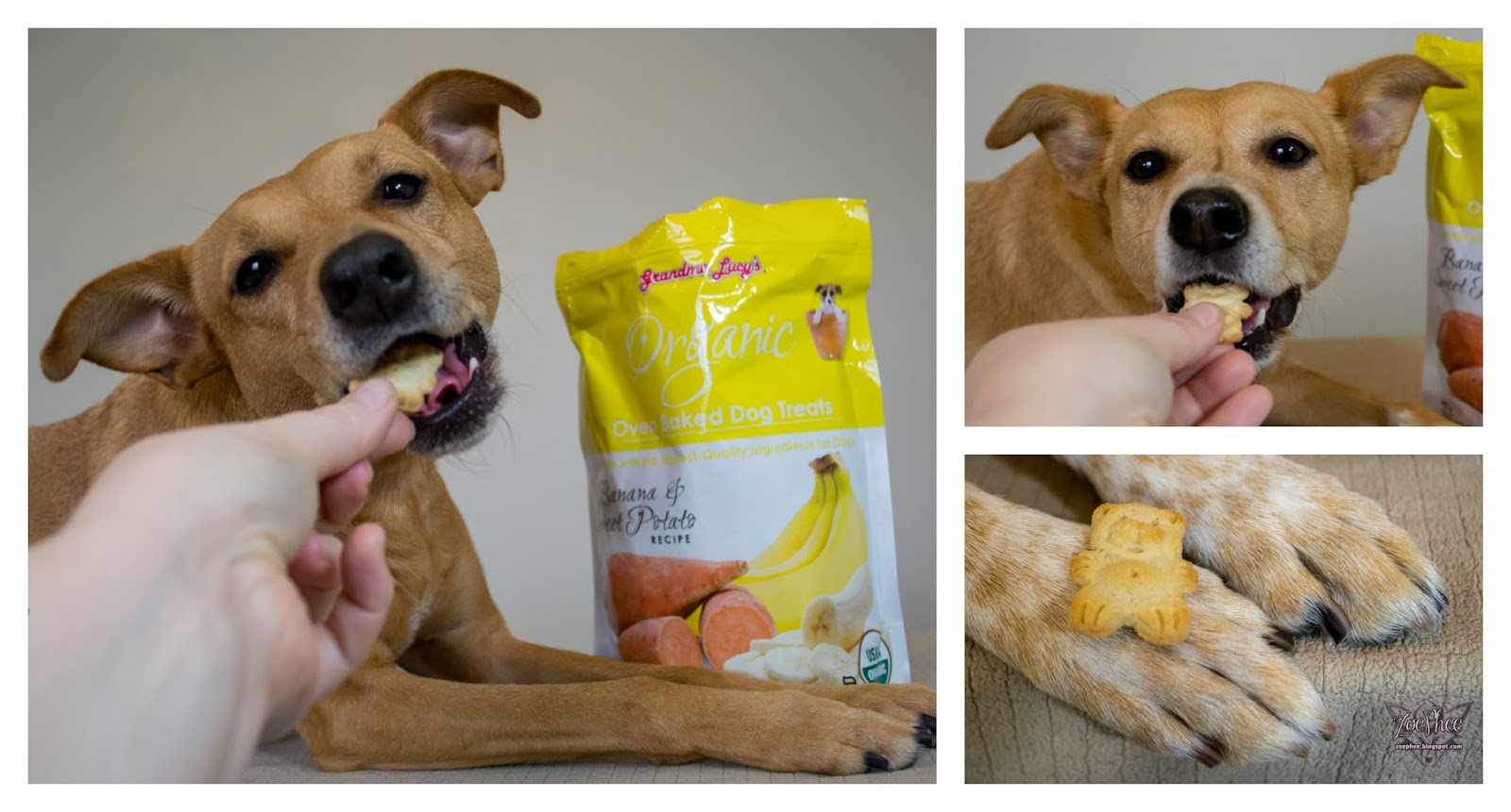 ZoePhee Grandma Lucy's Pet Food & Treats Review & Giveaway!