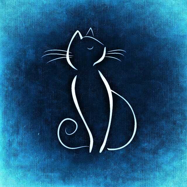 Cat HD Logo Cat HD Logo