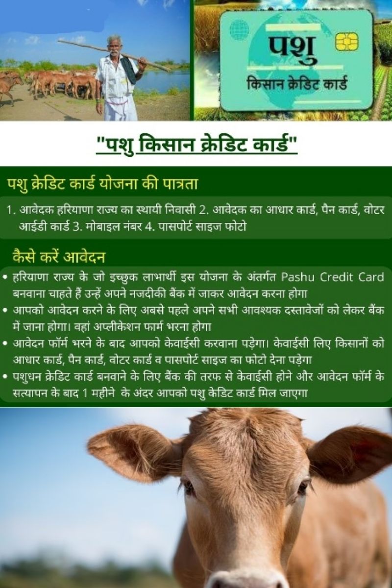 Pashu kisan credit card : पशु किसान क्रेडिट कार्ड योजना