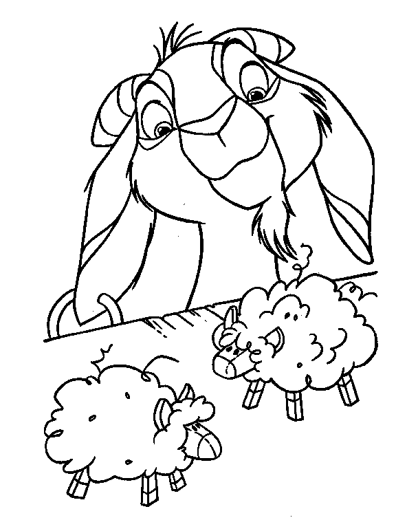 Coloring picture of sheep ~ Child Coloring