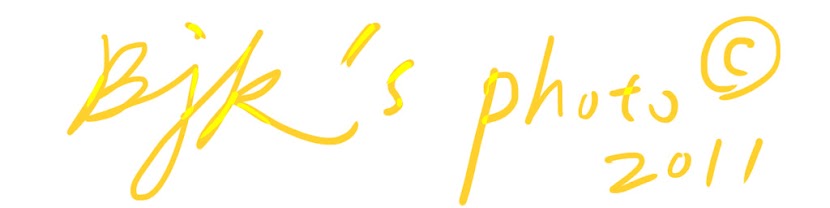 BJK散裝思考集散地