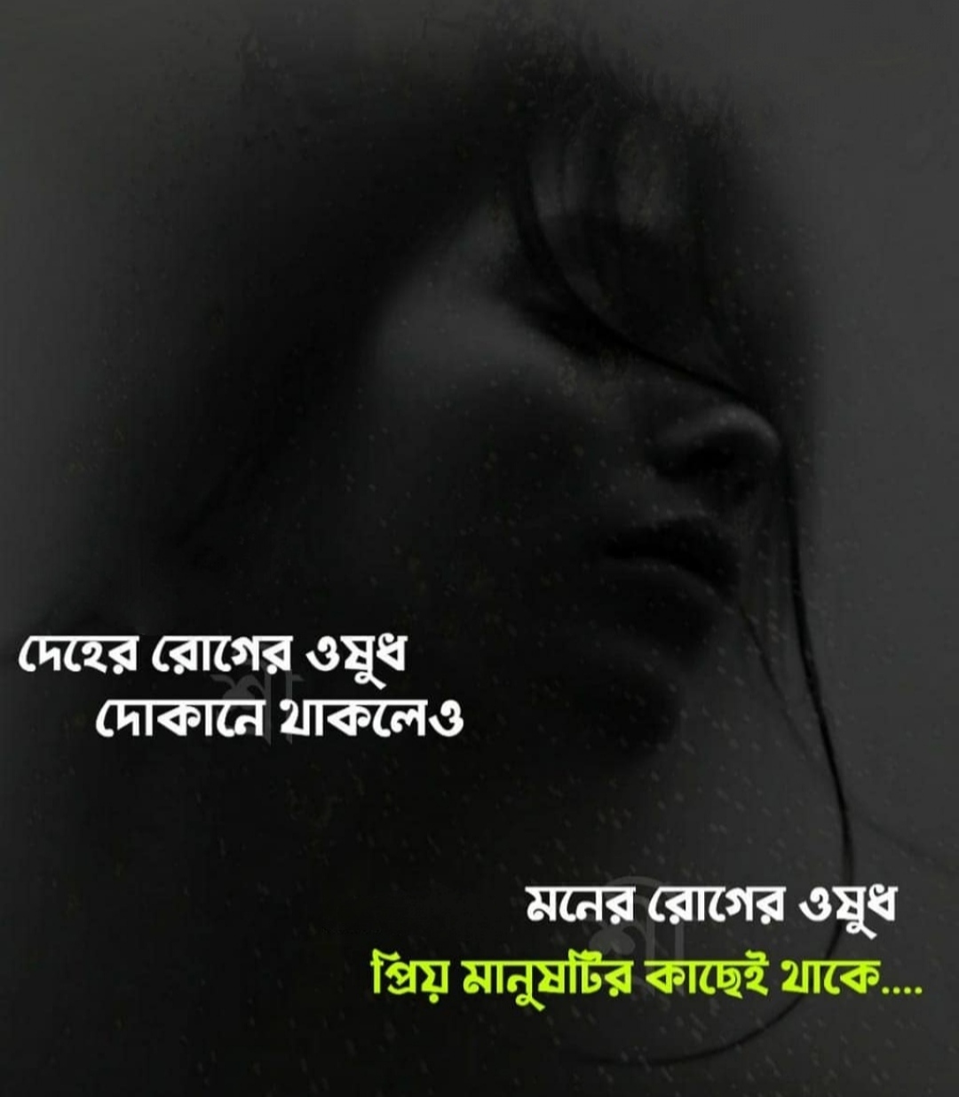 40+ Best Bengali Status & Quotes With Images 40+ বেস্ট বাংলা