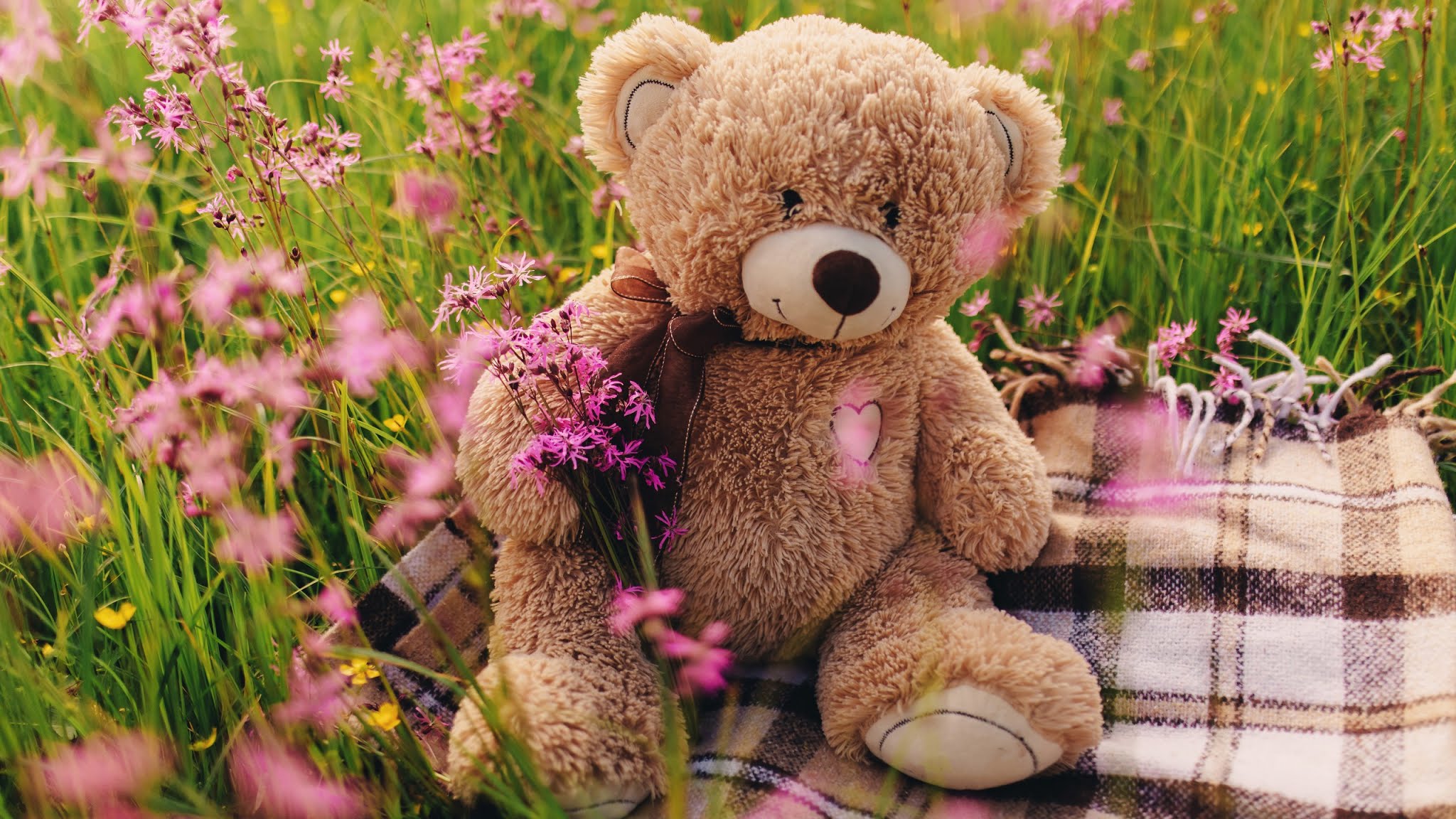 Cute Teddy Bear, Grass, Heart, 4k Wallpaper