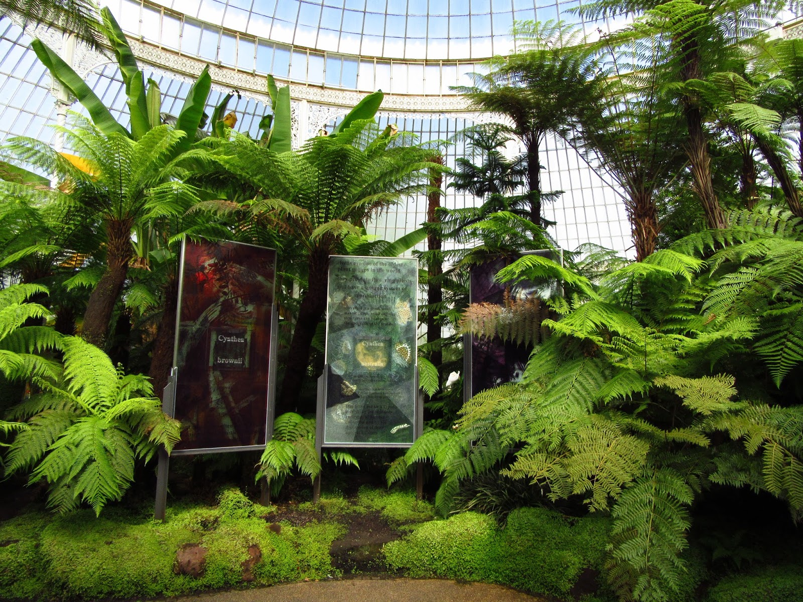 Glasgow Botanic Gardens