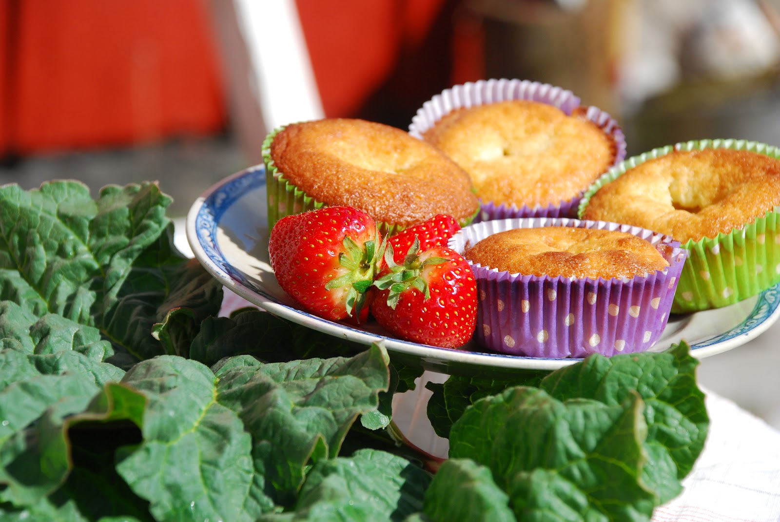 Boda Näset Jordgubb och rabarbermuffins