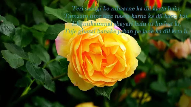romantic love sms images for boyfriend romantic love sms images for boyfriend