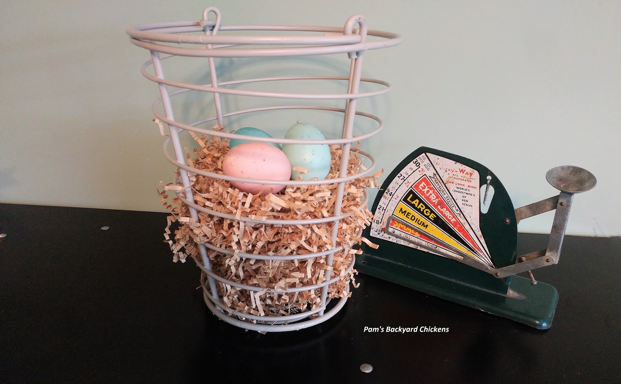 Pam's Backyard Chickens How to Turn a Chicken Egg Basket into Spring