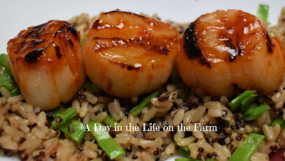 sweet and spicy scallops