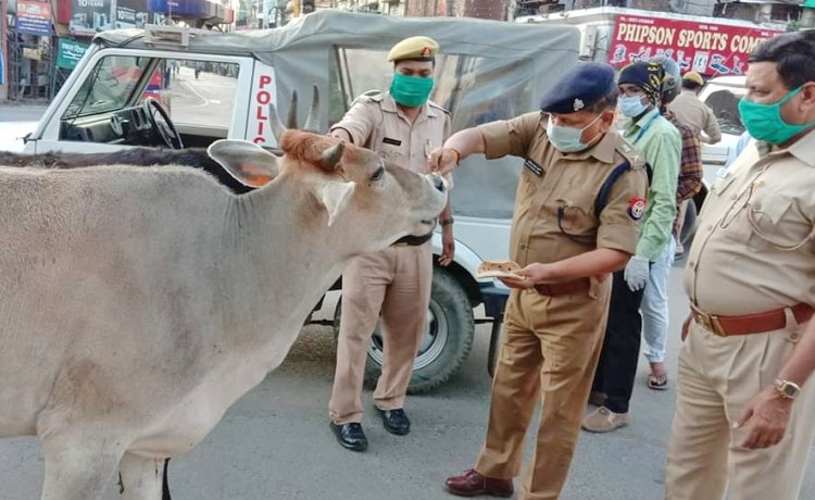 गोरखपुर के कोरोना योद्धा जिनकी मेहनत से गोरखपुर है कोरोना फ्री 3 SP Traffic Aditya verma