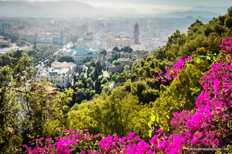 8 imprescindibles que ver en Málaga