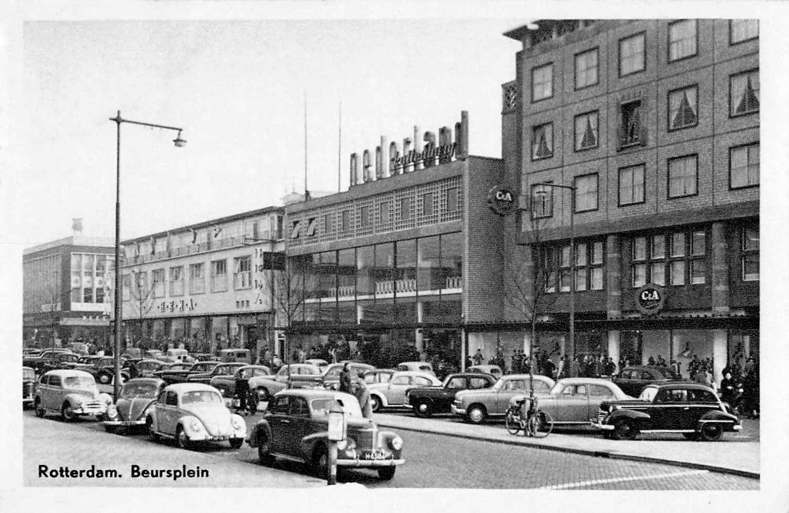 transpress nz cars in Rotterdam, 1950s