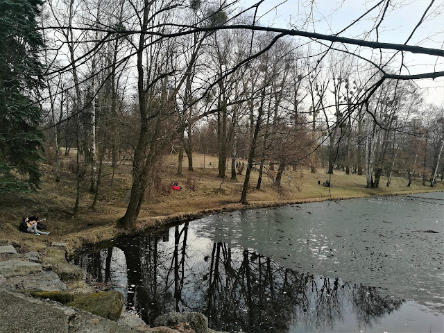 IMG_20170305_165947.jpg