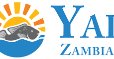 Employment Opportunities At Yalelo Jobs In Zambia