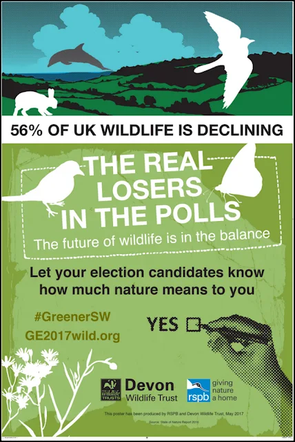 RSPB/Devon Wildlife Trust general election poster