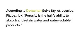 hair porosity