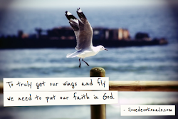 if birds could fly we got love 4