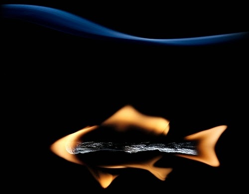 13-Match-Fish-Flame-Russian-Photographer-Illustrator-Stanislav-Aristov-PolTergejst-www-designstack-co
