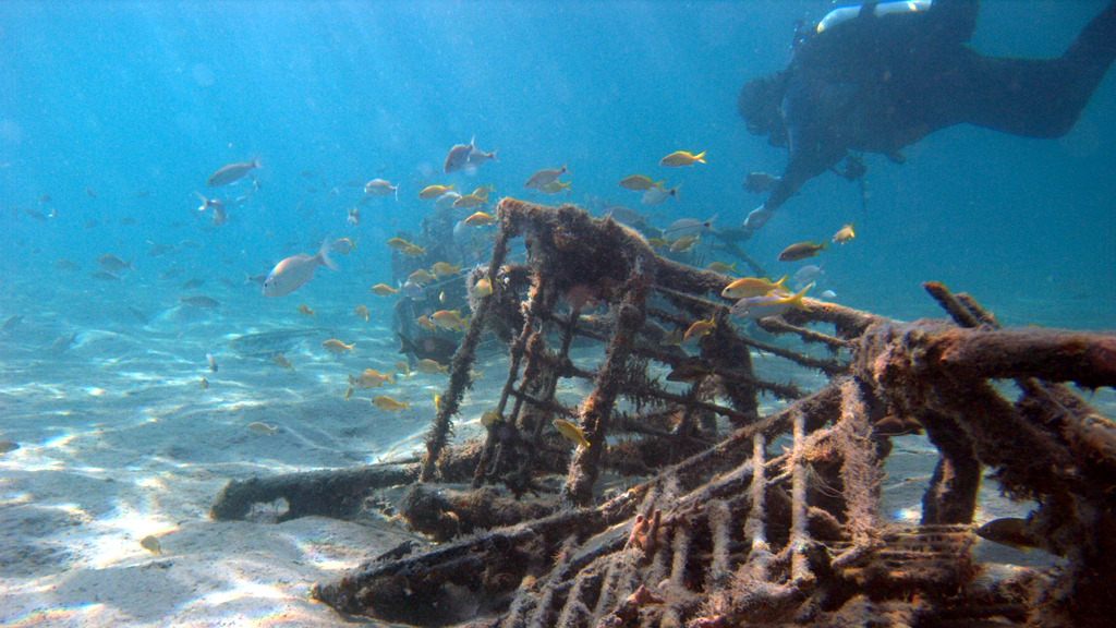 Peanut Island Park, Riviera Beach 10 Best Beaches To Snorkel in Florida