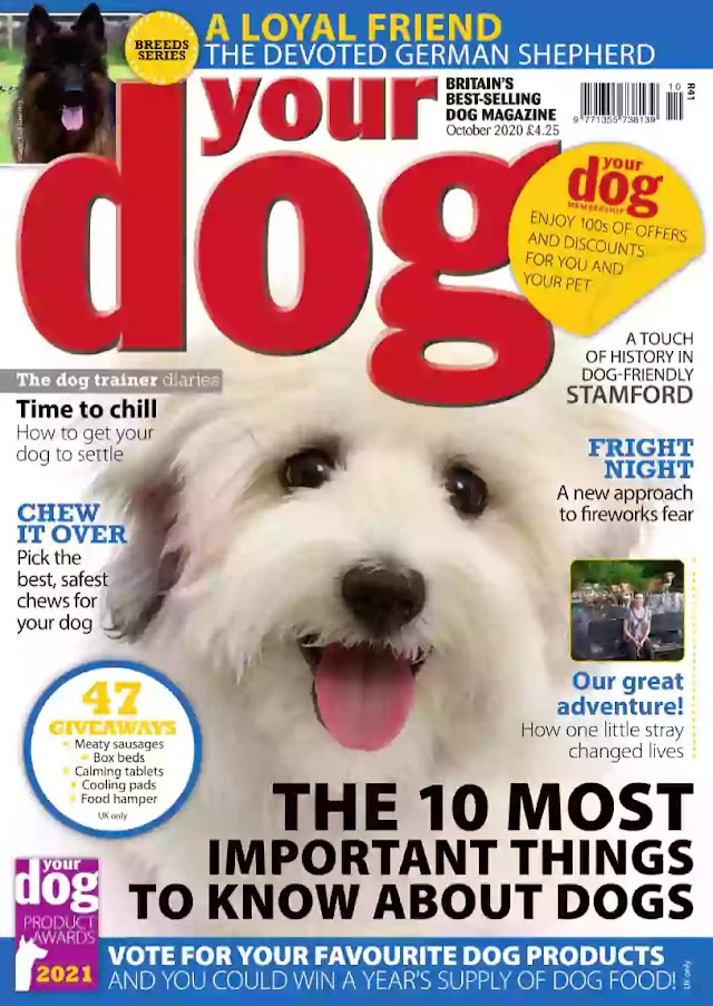 Download Majalah Your Dog Edisi October 2020