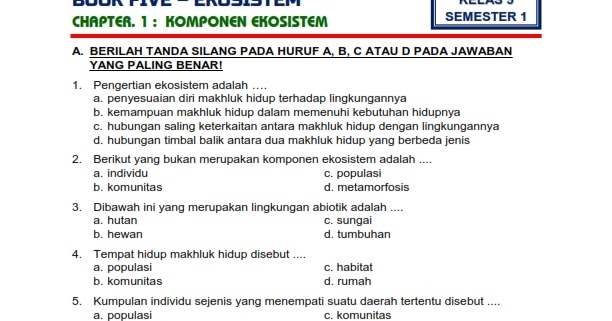 Soal essay ekosistem kelas 5 picture