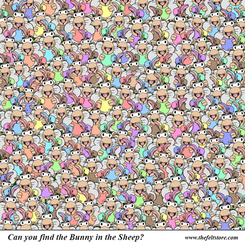Find The Bunny Puzzle