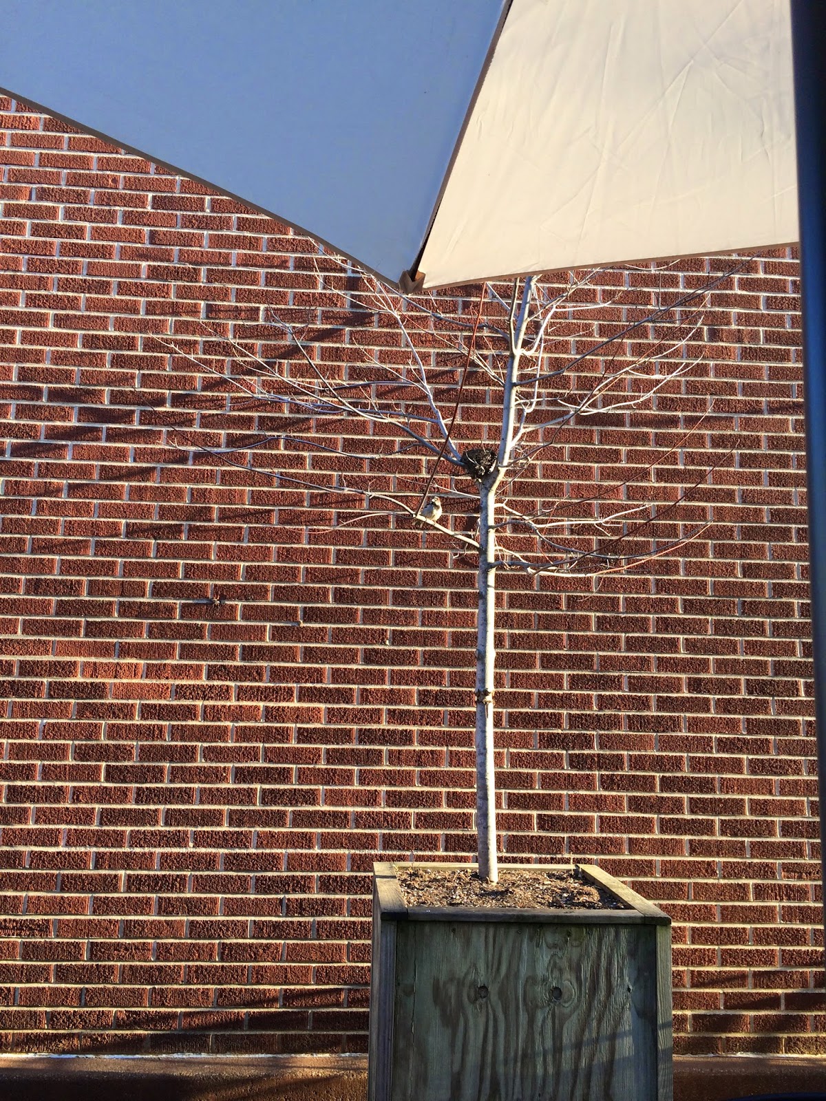 Travels of a Commoner Taking stock of Lock, Stock and Barrel, Decatur