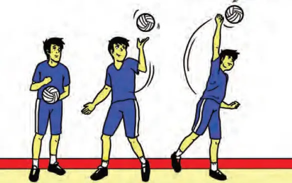 Macam Macam Servis Dalam Bola Voli Gambar Dan Penjelasan Bangmaul Com