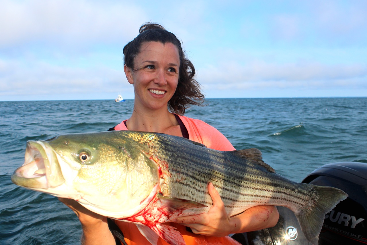 A View from the Beach The Bay J Takes on the Maryland Striper Regs