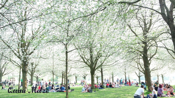 Gefyra September 2016