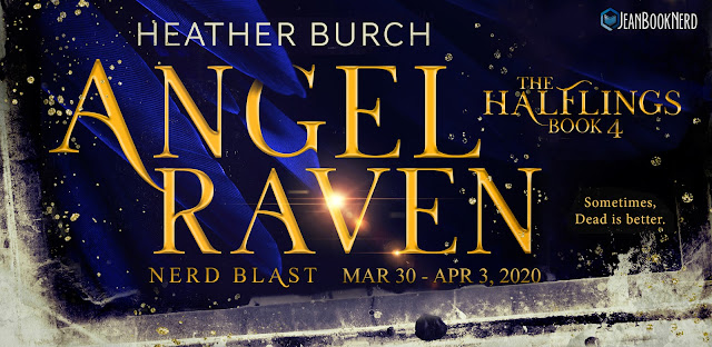 {Giveaway} Angel Raven by Heather Burch