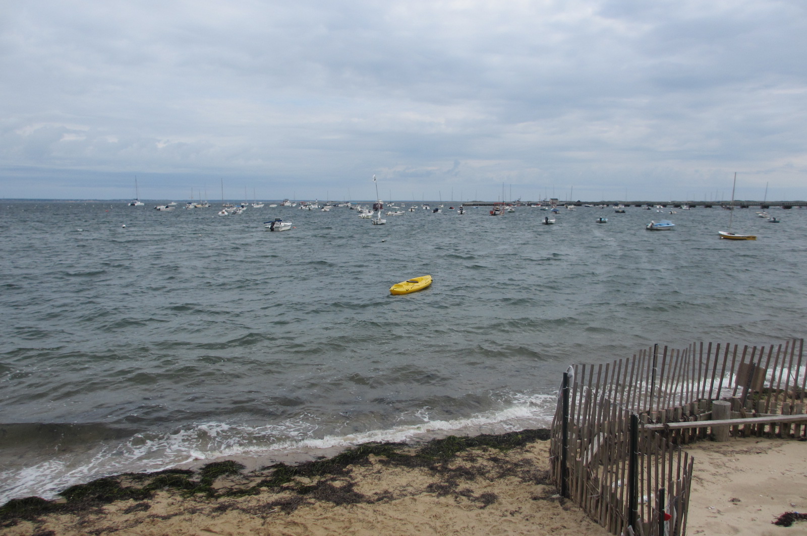 Reluctant Rebel Another Provincetown Story The Three Hour Tour