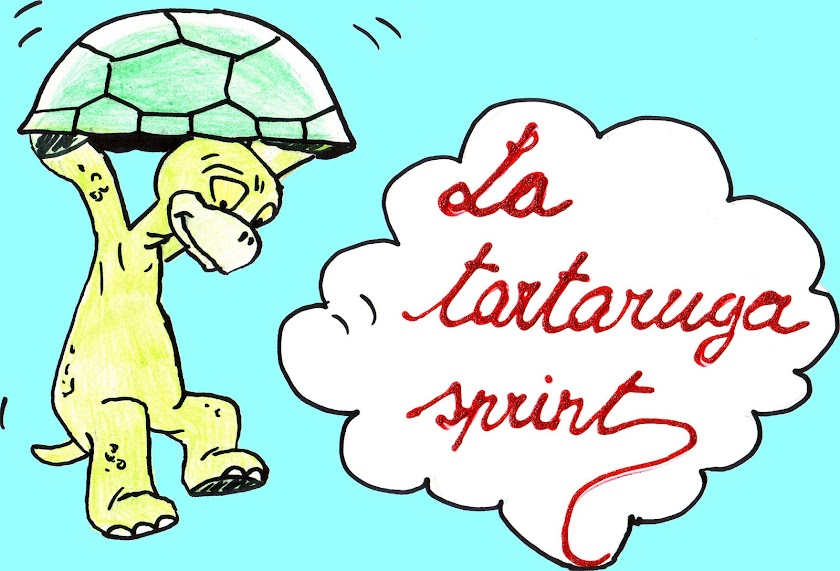 la tartaruga sprint