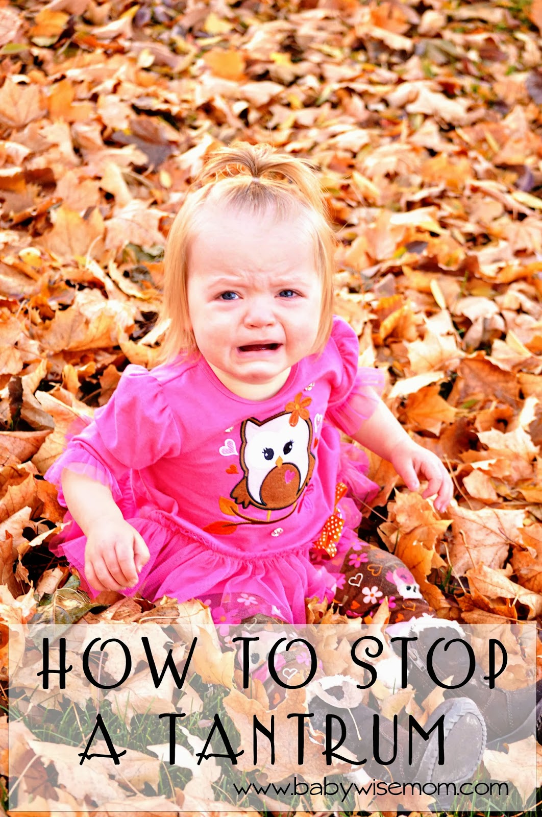 How To Stop a Tantrum Chronicles of a Babywise Mom