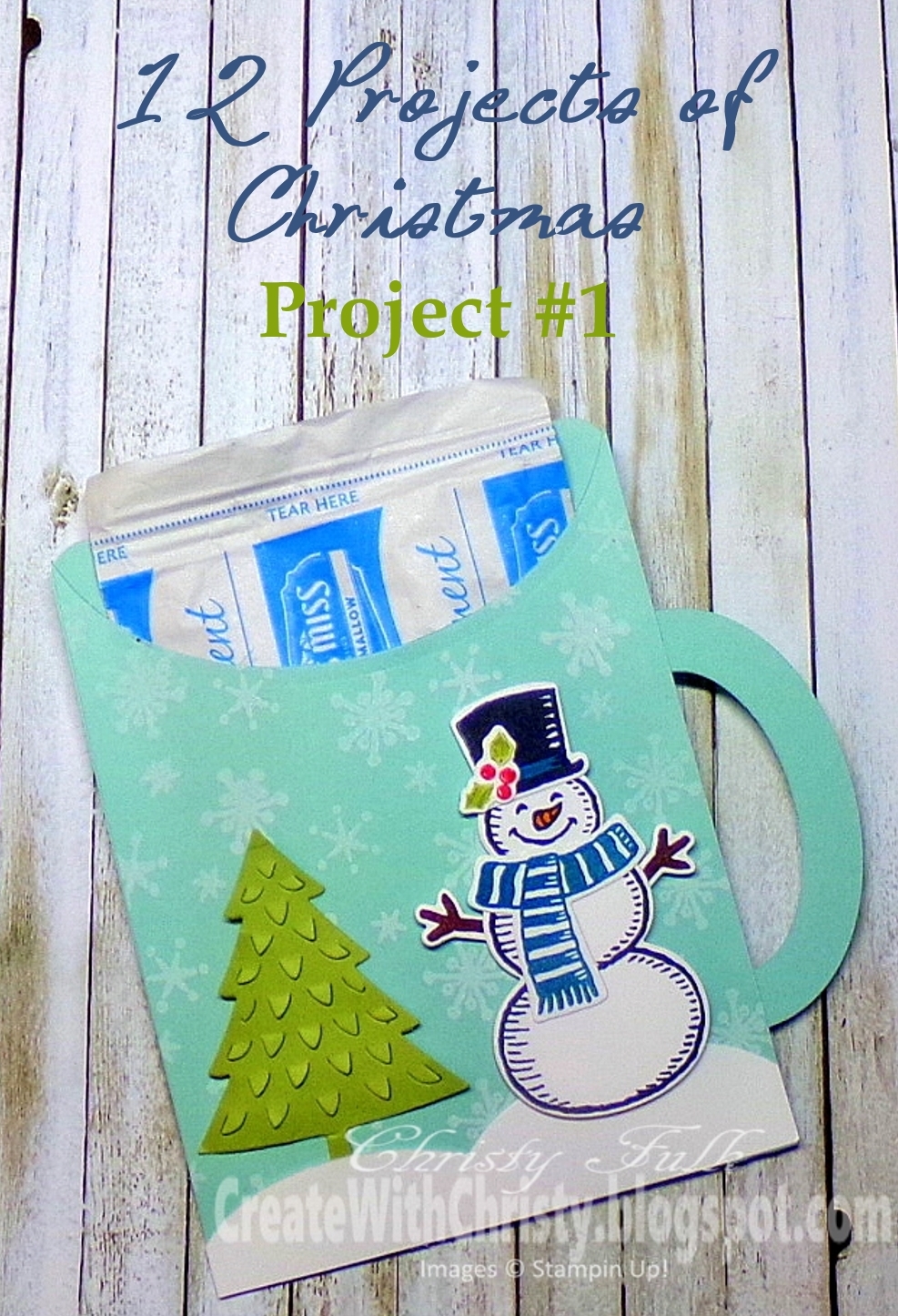 12 Projects of Christmas - Project #1 [Create With Christy]