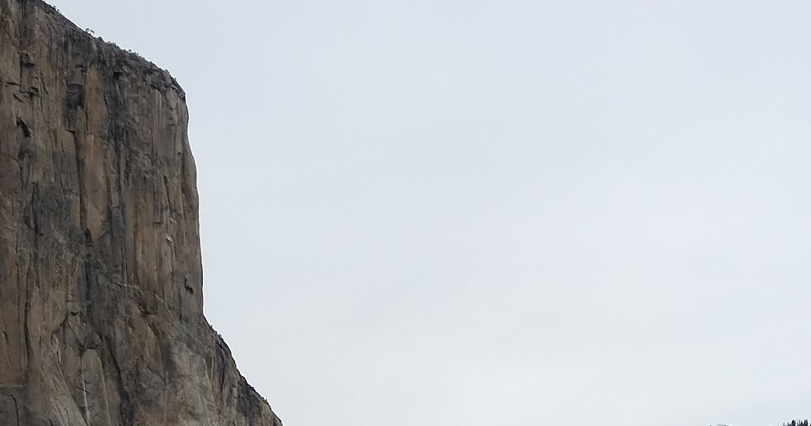 Yosemite Nature Notes Blog Build Me Up, Kumlienia