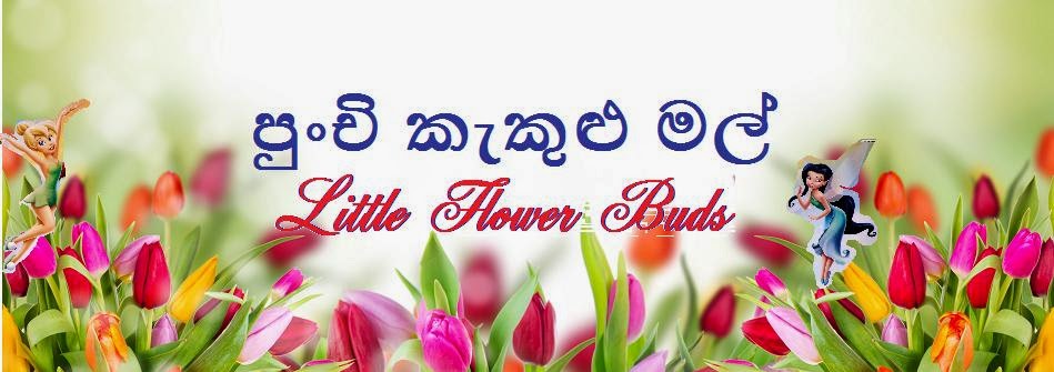 පුංචි කැකුළු මල්~Little Flower Buds