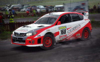 Dirt Rally Game Screenshot 4