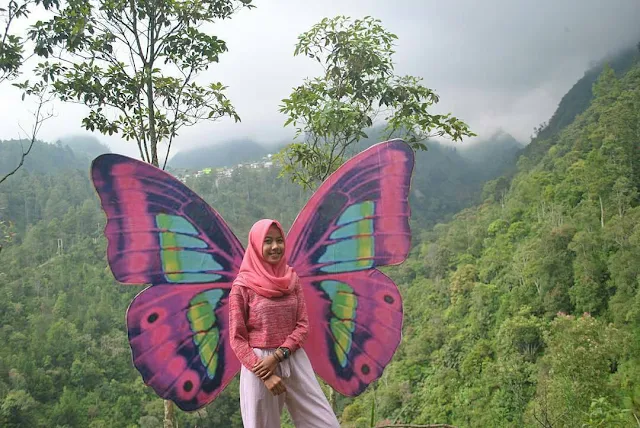 Spot foto kupu-kupu wisata Genilangit