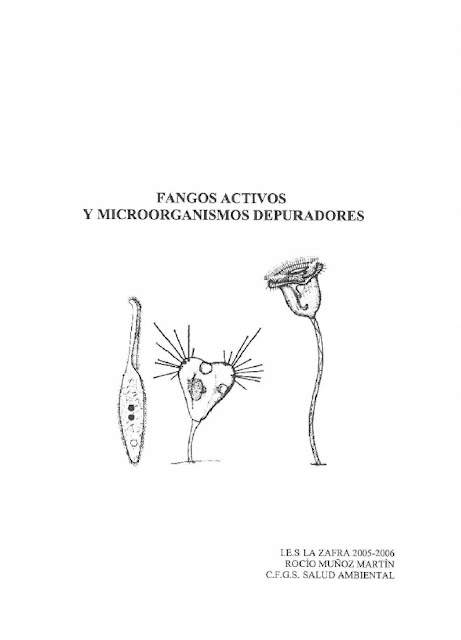 Fangos activos