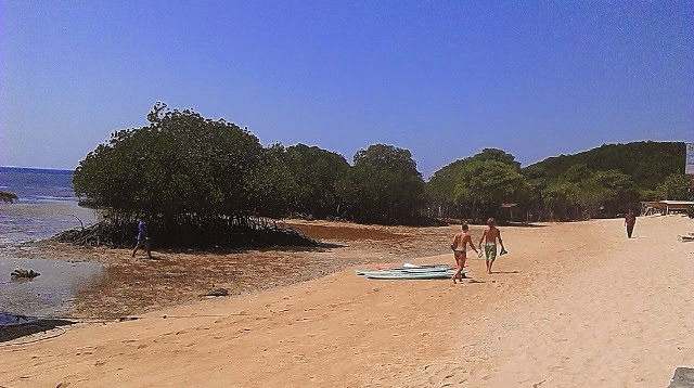 Istri Ambil Papan Surfing Bule Aussie yang Hilang untuk Asuransi