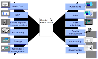 Master Data (Material Master) - SAP Implementation