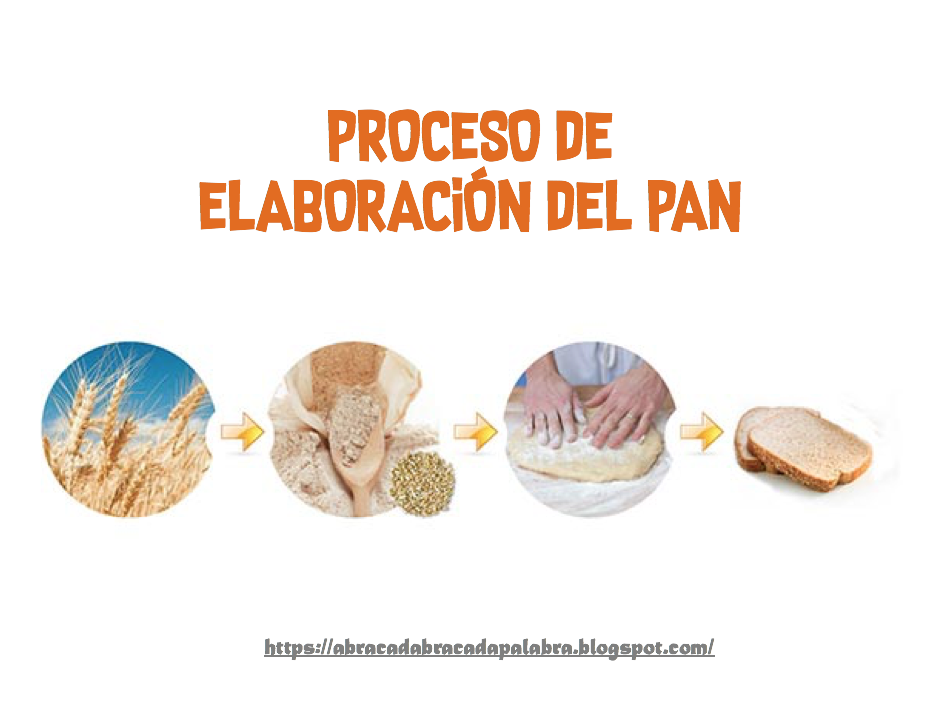 Abracadabra cada Palabra PROCESO DE LA ELABORACIÓN DEL PAN