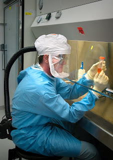 H5N1 grip virüsü ile ilgili çalışma yapan bir bilim insanı.