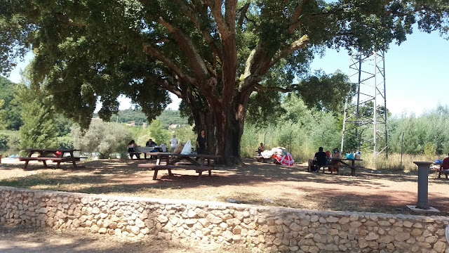 Parque de Merendas com sombra