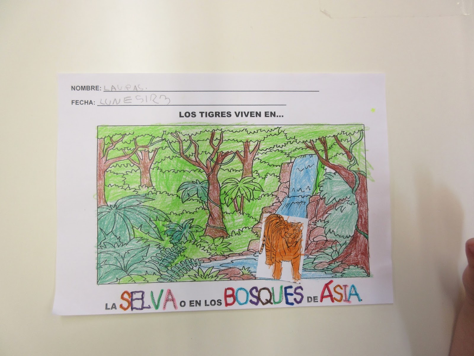 Trabajando con personitas: ¿Dónde vive el TIGRE?