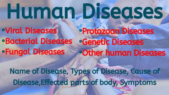 Human Disease and health