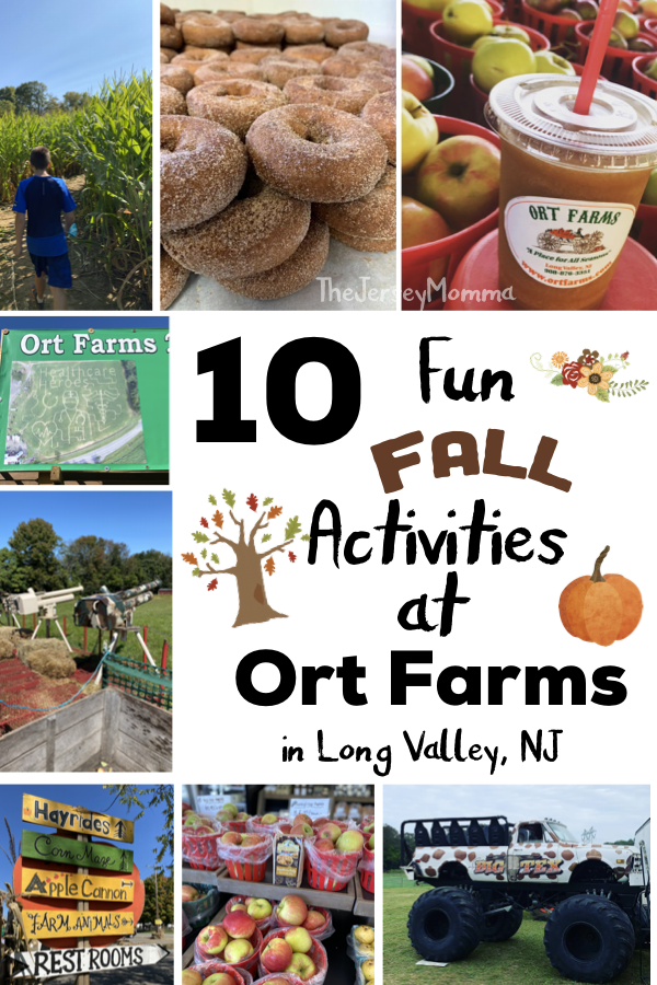 10 Fun Fall Activities to Try at Ort Farms New Jersey Fall Fun for
