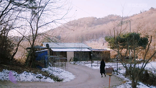 첫 장편드라마 입봉한 여자감독님의 연출력.gif | 인스티즈