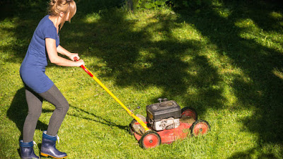 Lawn Cleaning