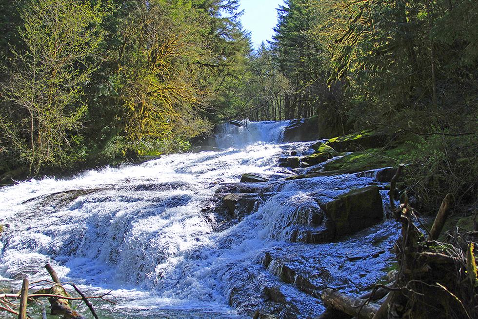 Photographing Oregon Alsea Falls
